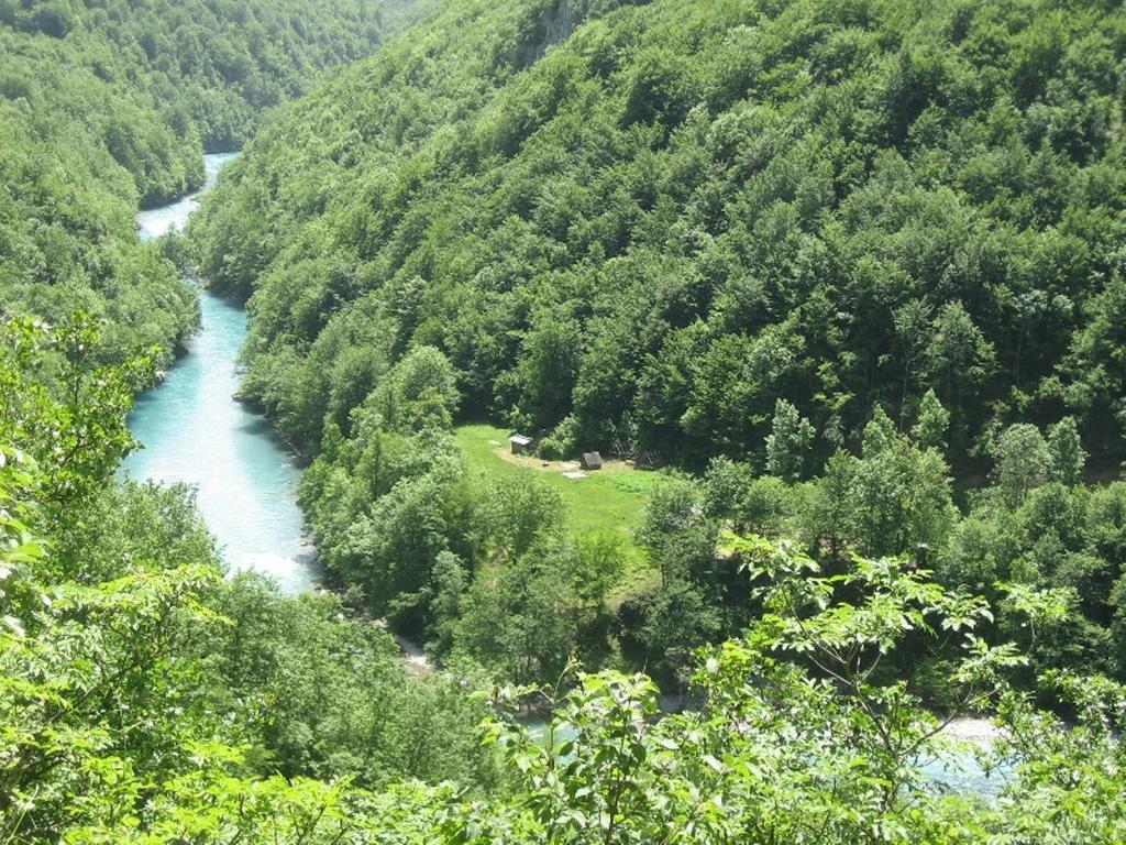 Tara Bridge Castle Otel Žabljak Oda fotoğraf